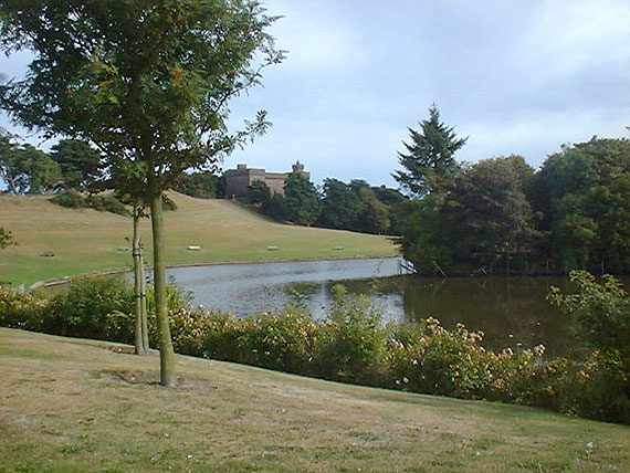 The Watertower with path leading to the pond's edge.