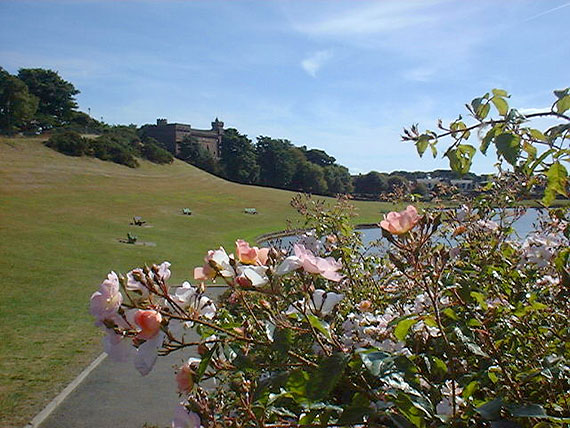 The Watertower with roses 2.