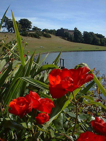 The Watertower with roses 4.